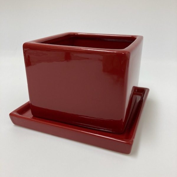 日本製シンプル四角レッド赤陶器おしゃれ植木鉢受け皿アレンジ盆栽斜め上