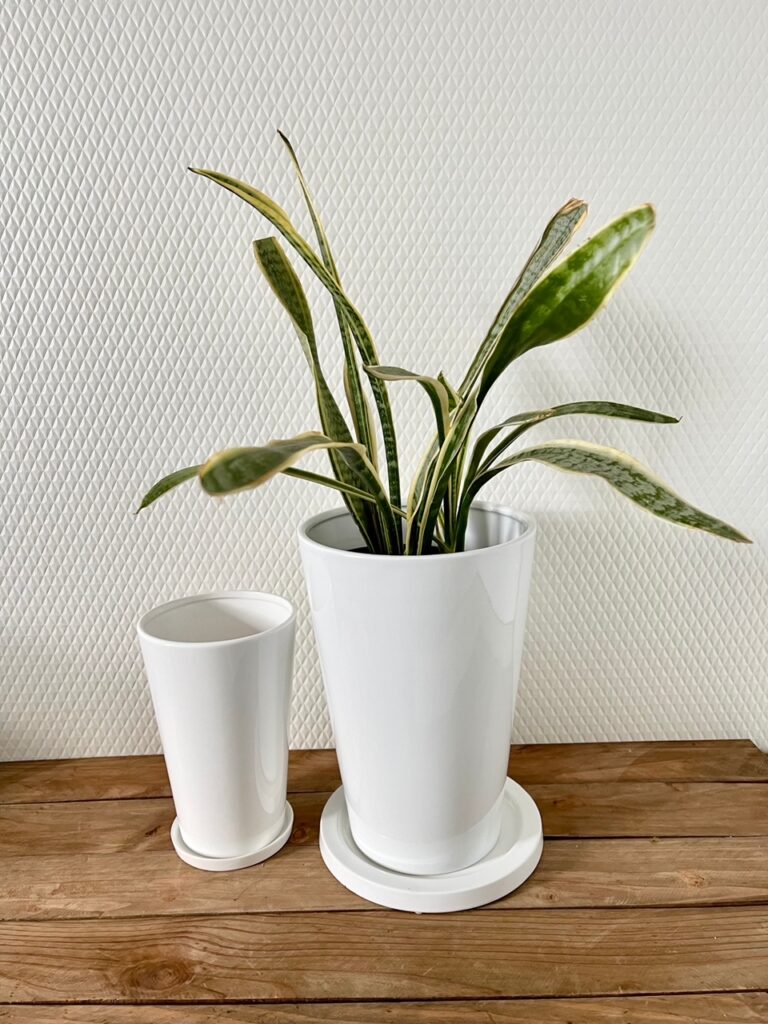 定番のホワイト植木鉢各種サイズ | 陶器製植木鉢、鉢底穴あり受け皿付 