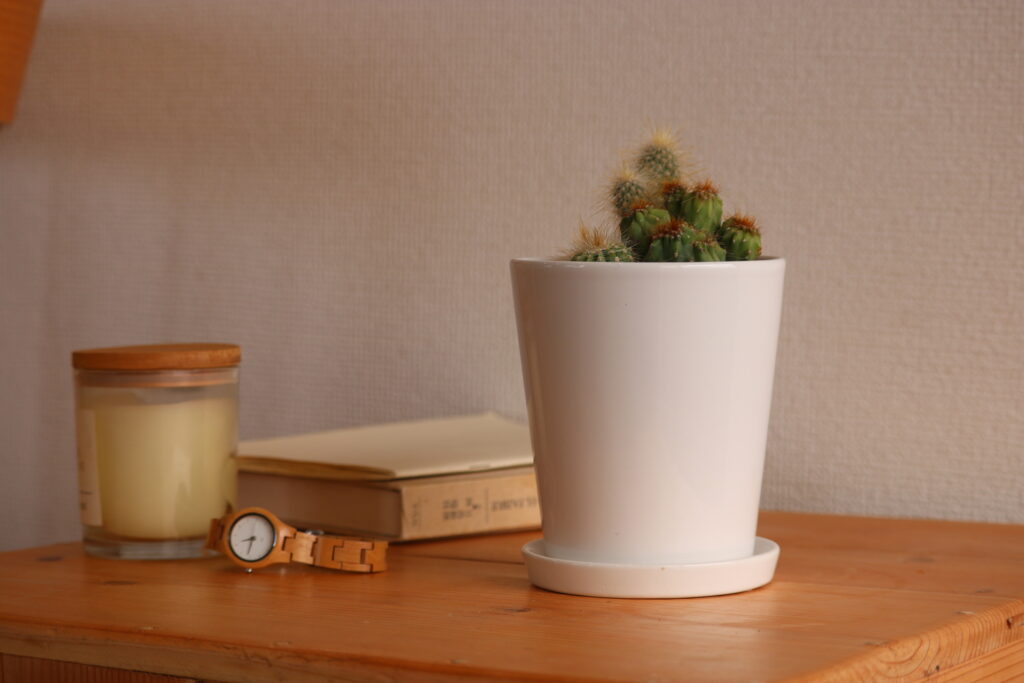 3号サイズの定番植木鉢お買い得５個セット 陶器製植木鉢 底穴あり受け皿付き お部屋のインテリアにおすすめ