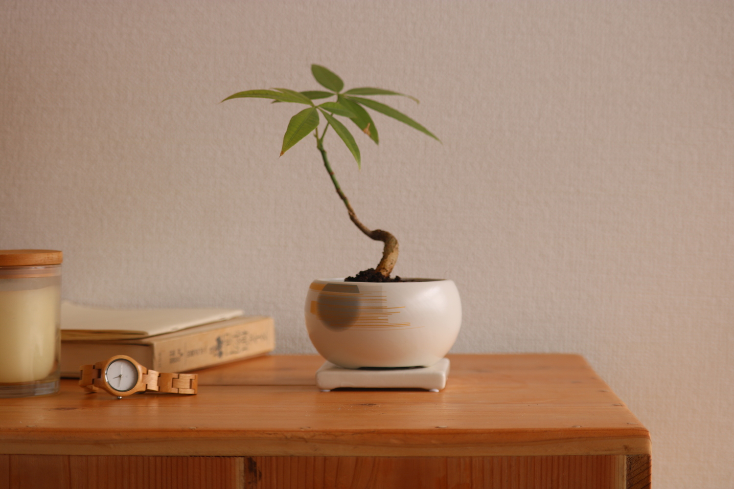 和風植木鉢/小さいサイズ ミニ盆栽にピッタリ/卯月4個セット